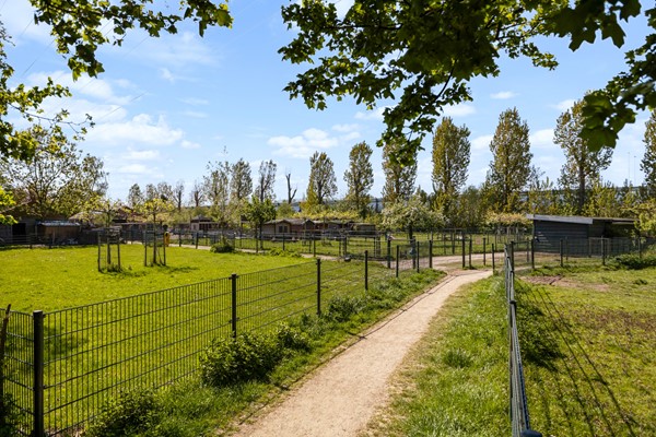 Medium property photo - Reigerskamp 68A, 3607 HD Maarssen